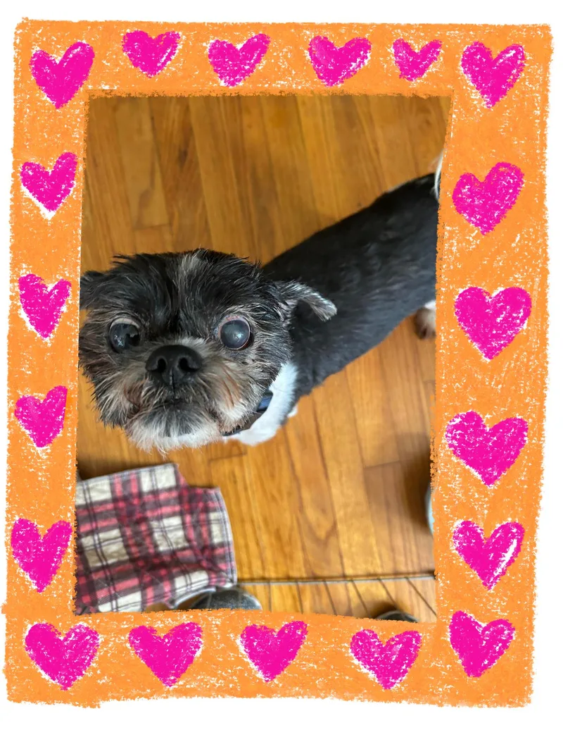 Igor thumbnail 3