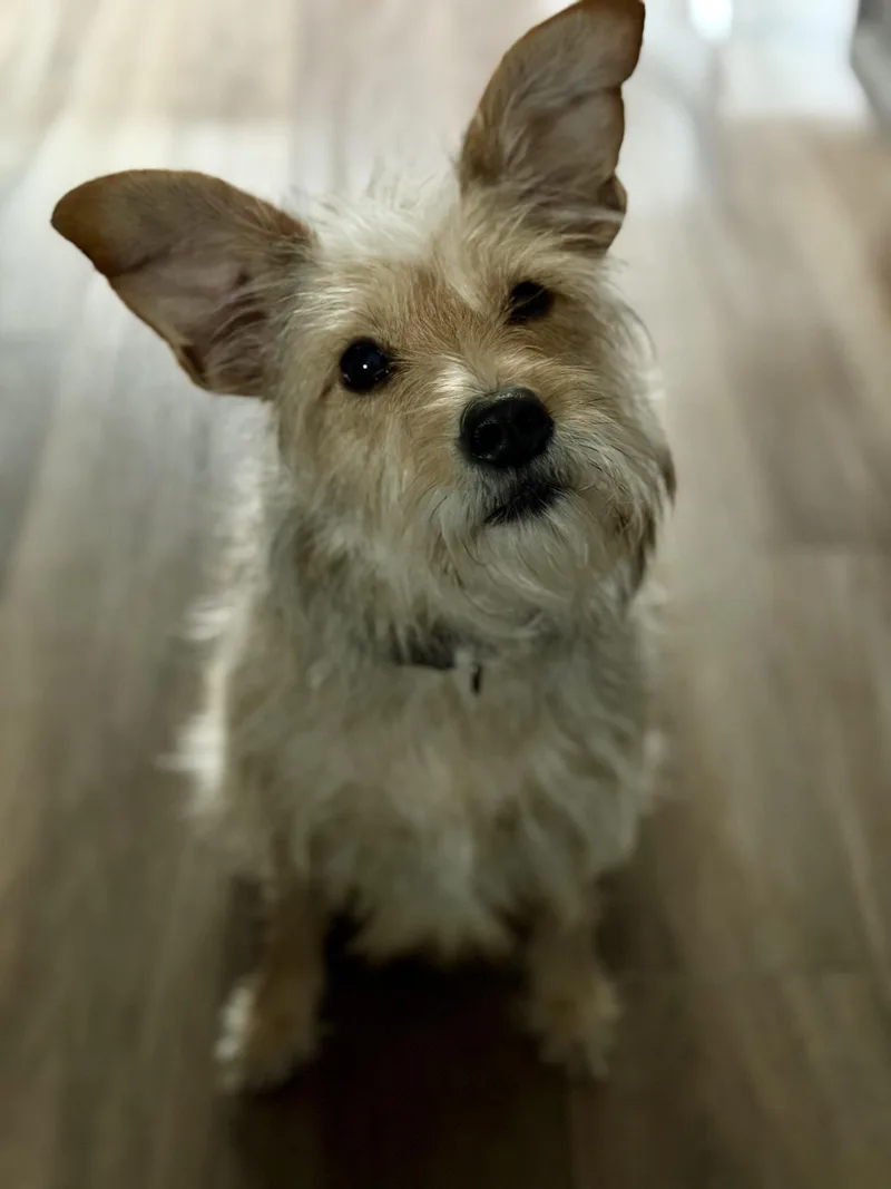 Ellie May