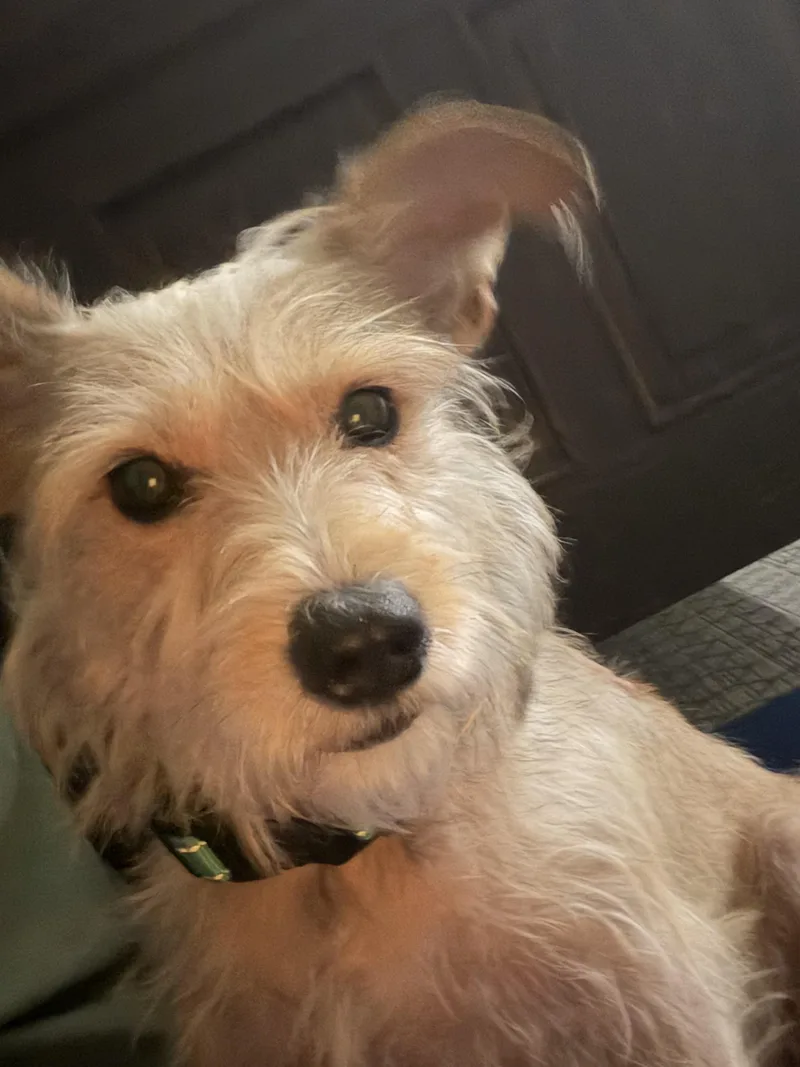 Ellie May thumbnail 4