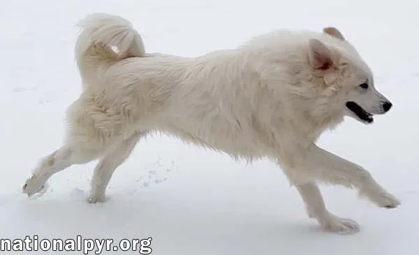 Gaston In Va  thumbnail 2