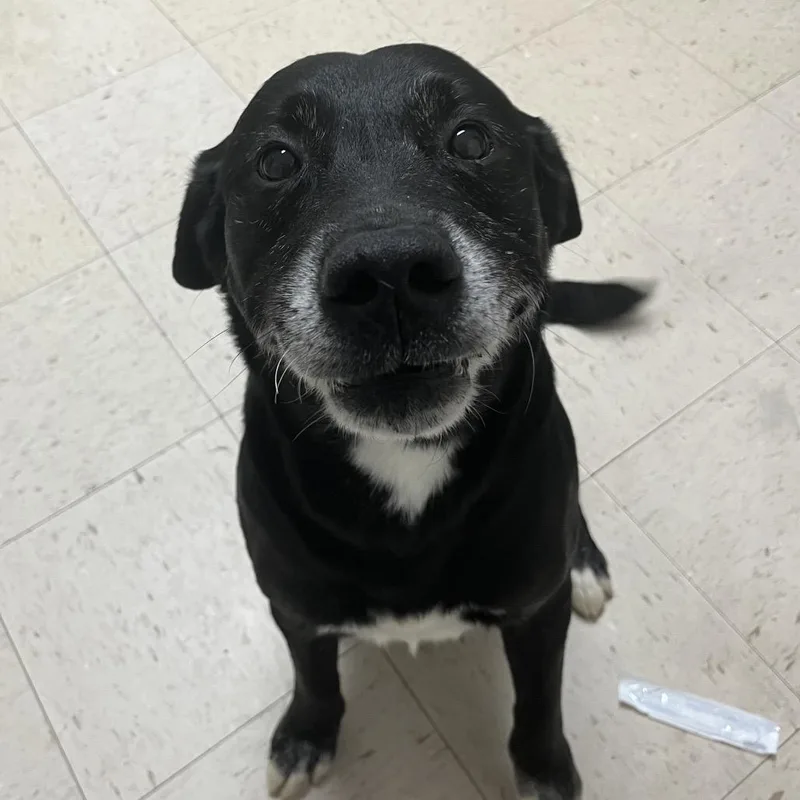 Uncle Cletus thumbnail 2