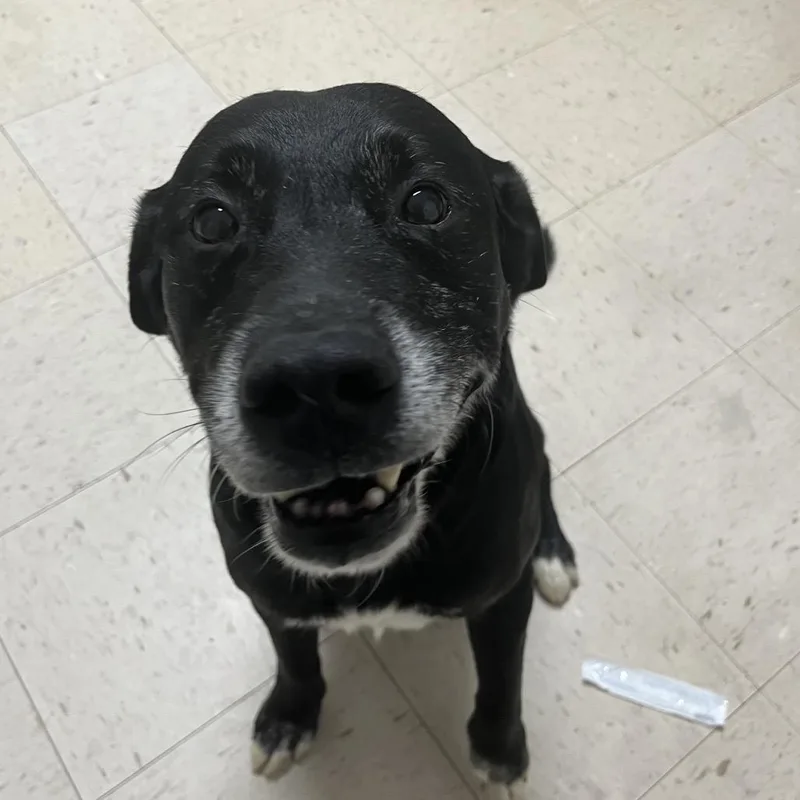 Uncle Cletus thumbnail 3