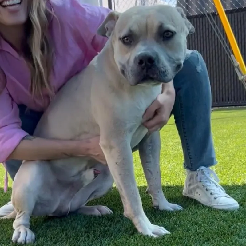 Maverick thumbnail 2