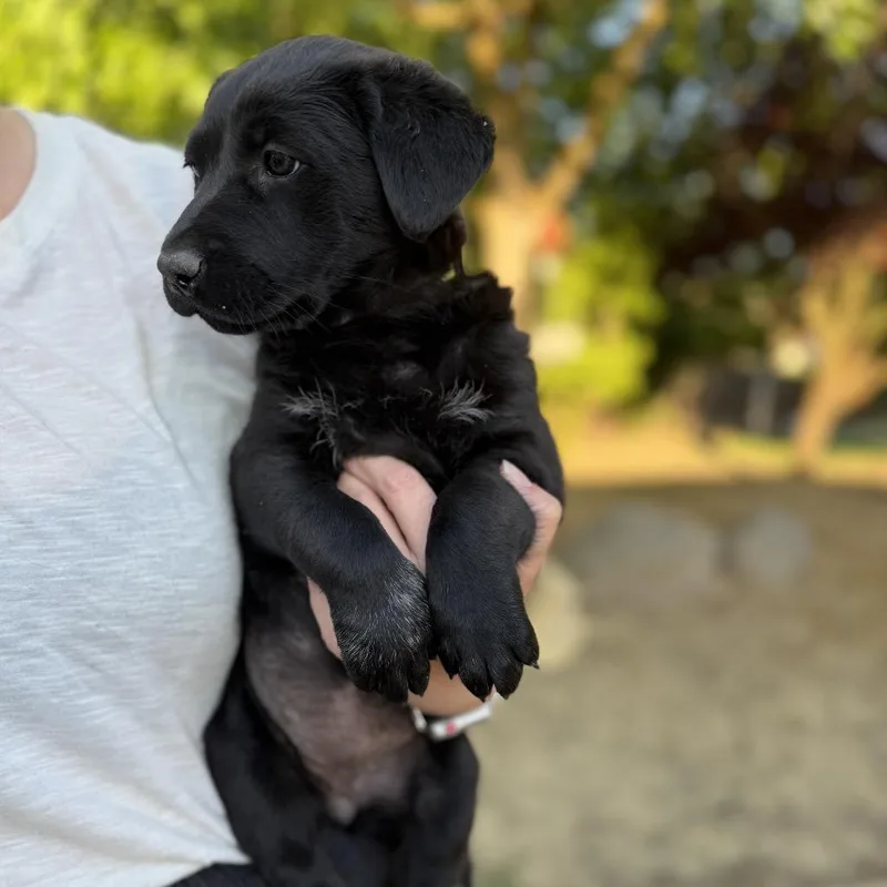 Cirie thumbnail 2