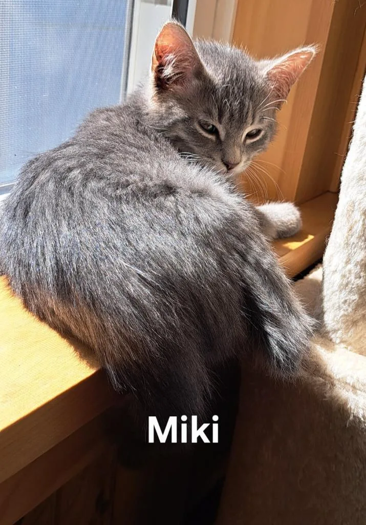 Miki