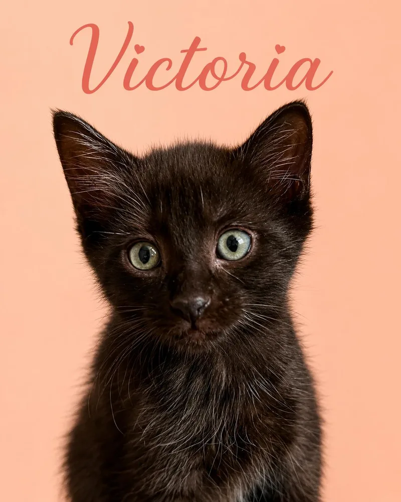 Victoria