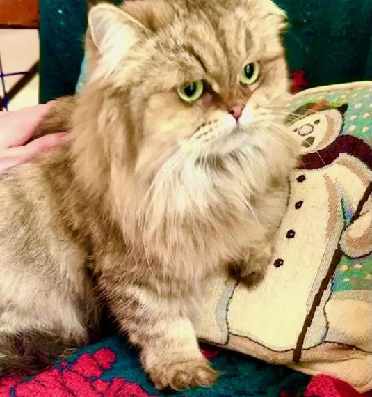 Mother Goose thumbnail 2