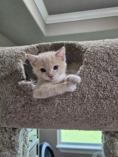 Cutie thumbnail 3