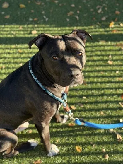 Rylee Parker thumbnail 2