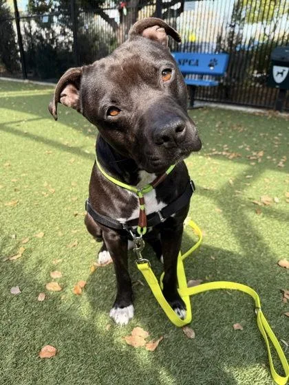 Rylee Parker thumbnail 3