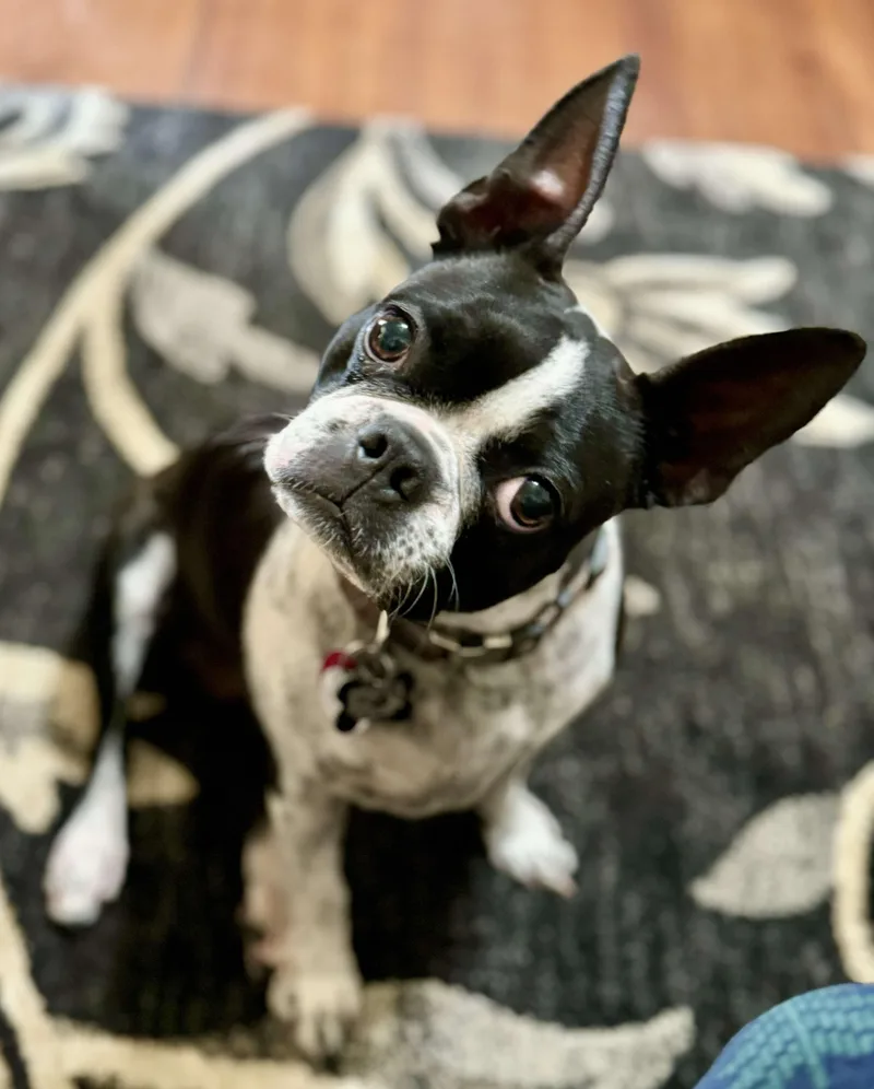 Mimi Marie thumbnail 3