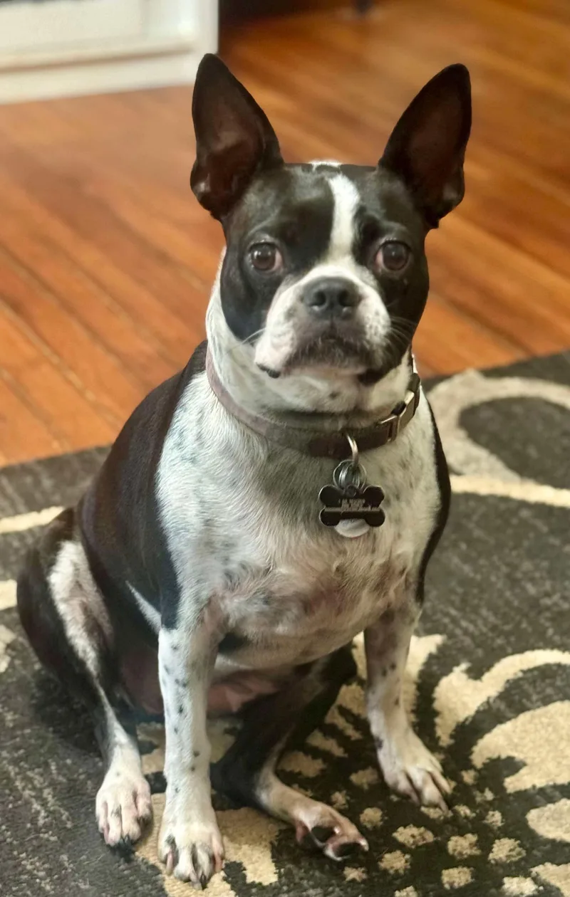 Mimi Marie thumbnail 6