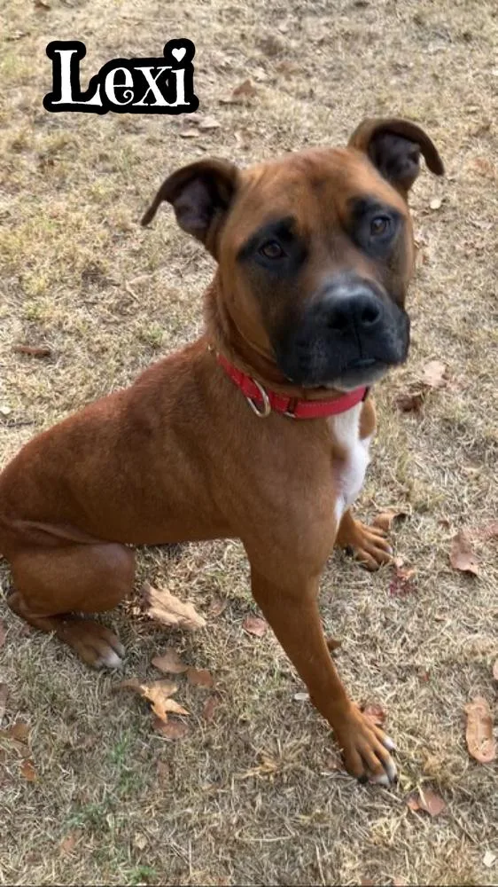 Lexi thumbnail 5