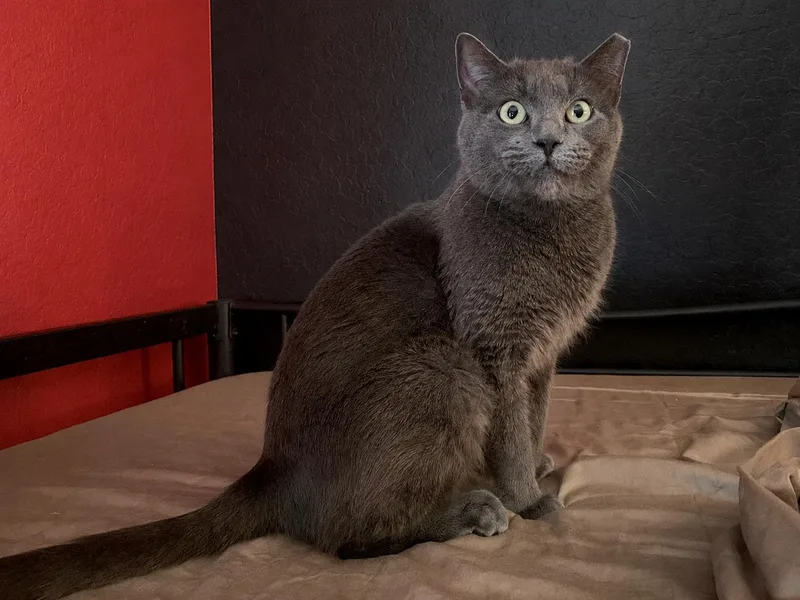 Ellie thumbnail 3