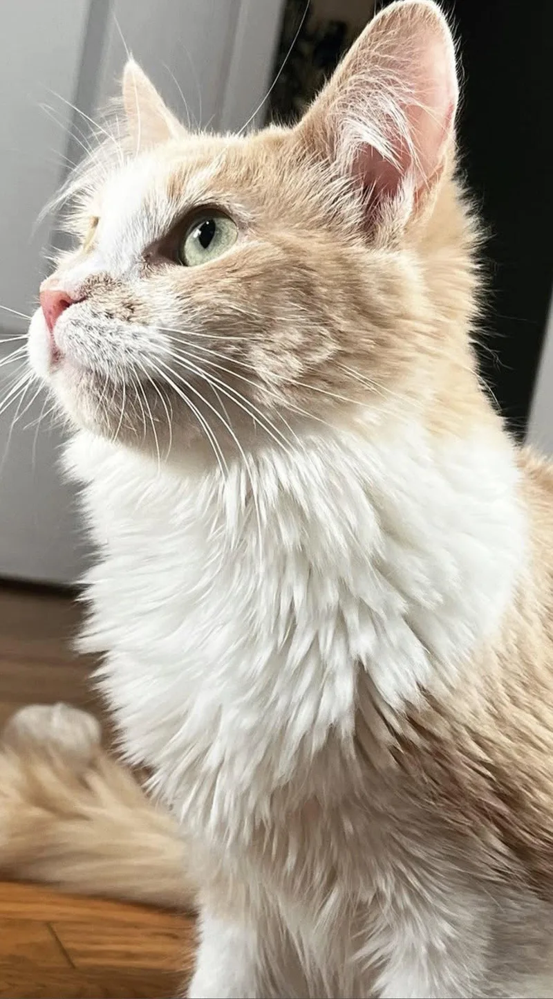 Tailor Swift thumbnail 2