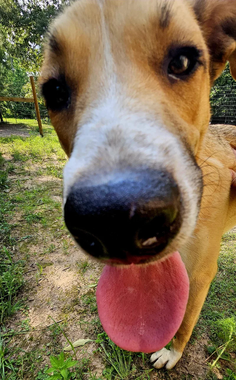 Coco  Ny thumbnail 4