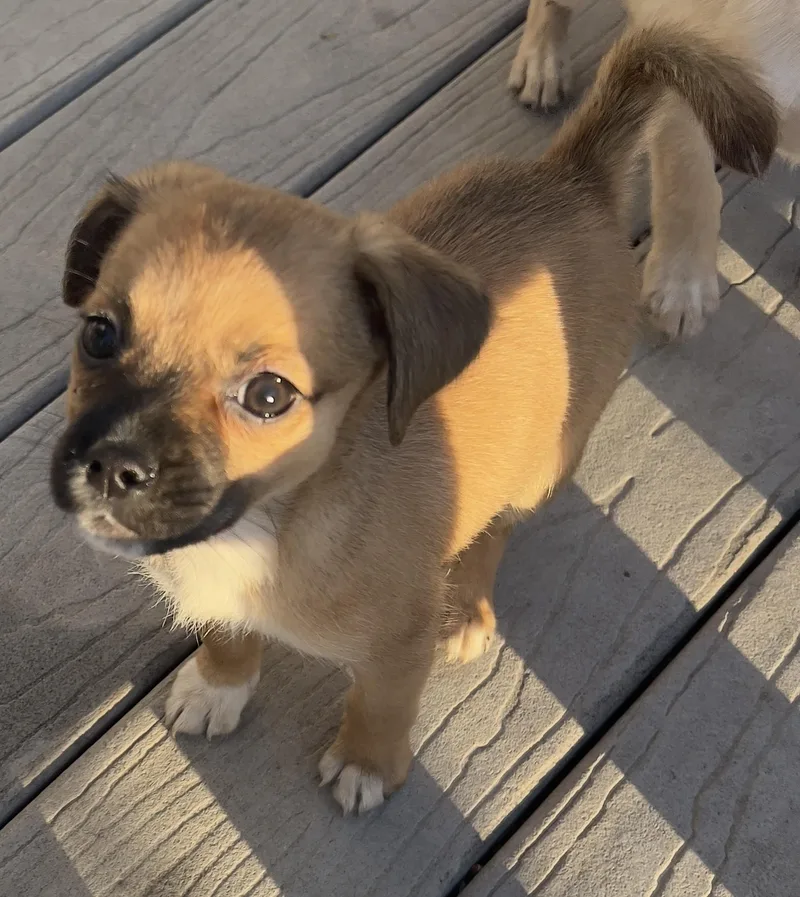 Lola thumbnail 6