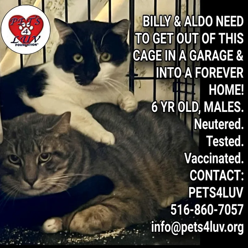 Billy  Melville thumbnail 2