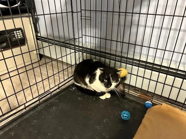 Billy  Melville thumbnail 3