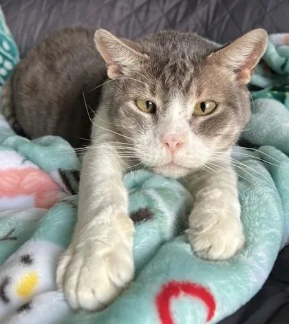 Sunshine thumbnail 2