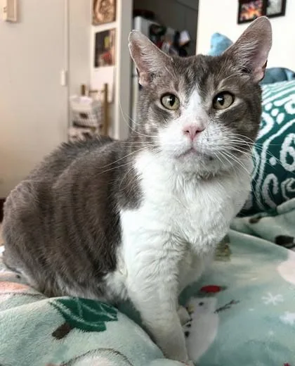 Sunshine thumbnail 3