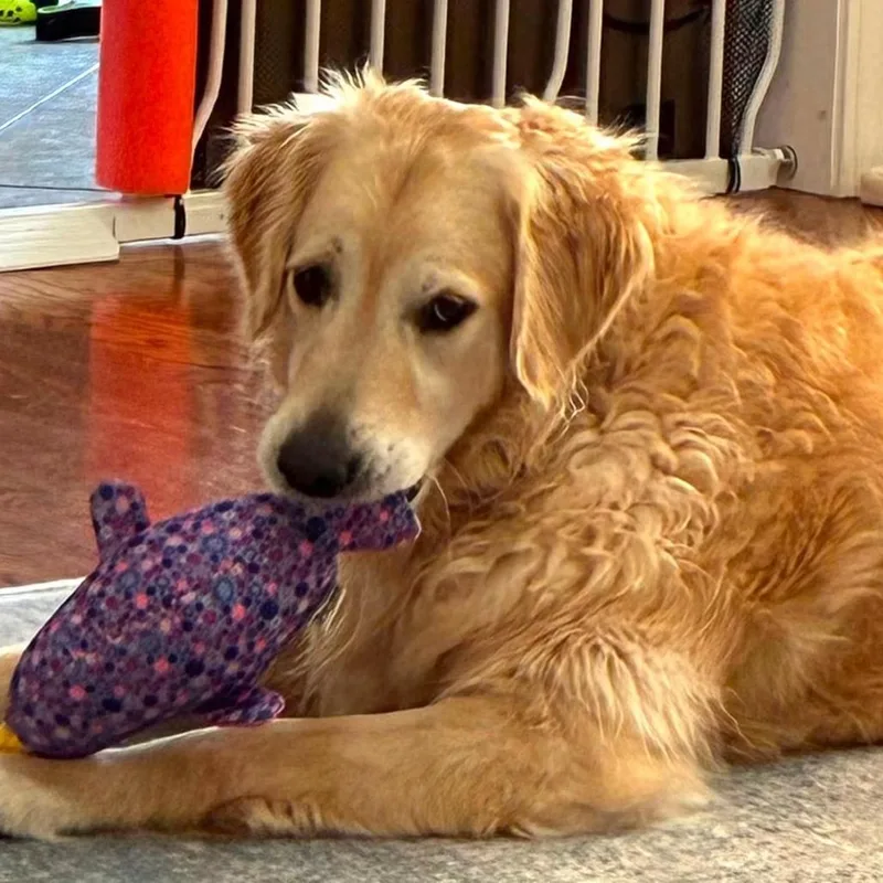 Abby thumbnail 3