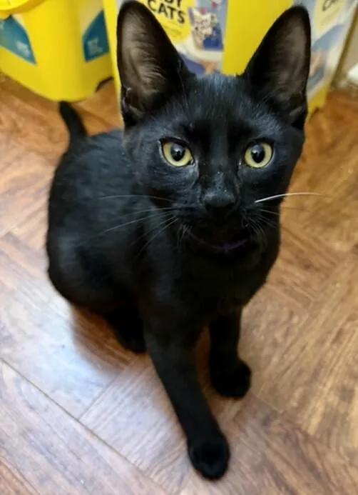 Fiona