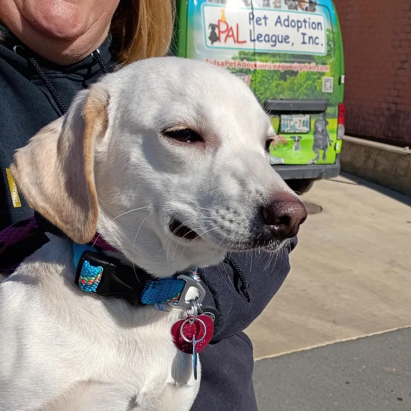 Howie  Sweet  thumbnail 3