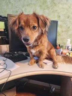 NO FURTHER APPS ACCEPTED