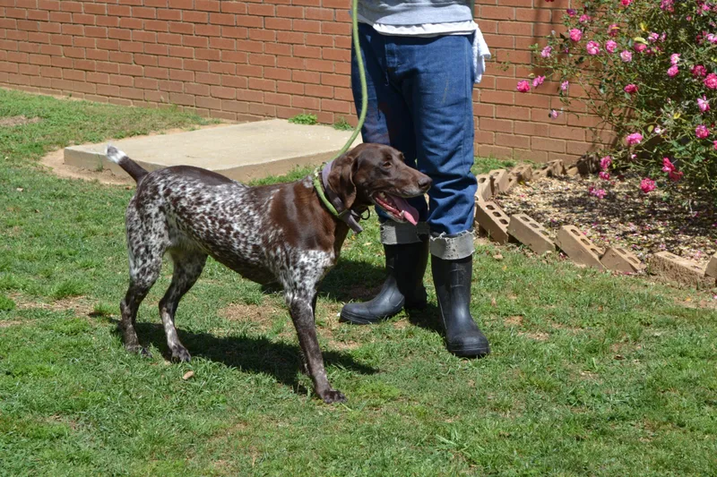 Peter Pan thumbnail 2