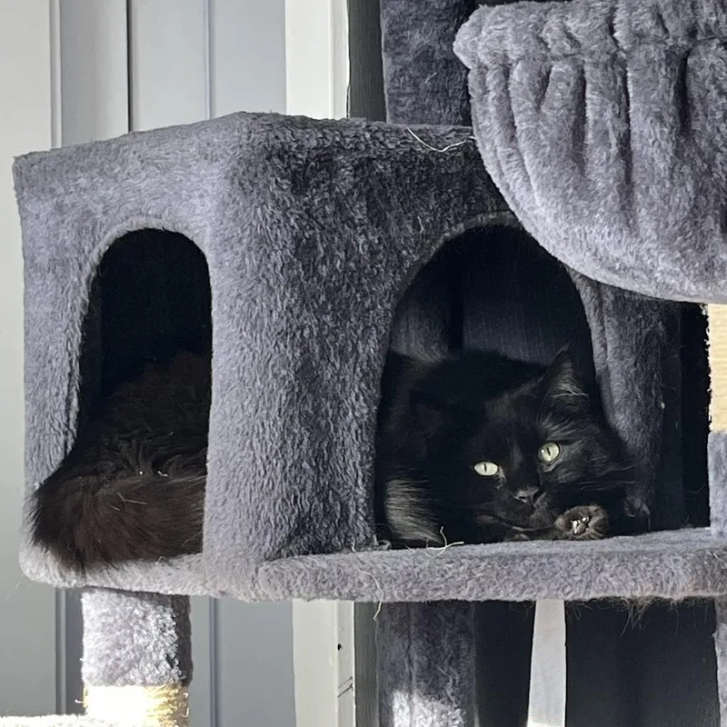 Storm  Home To thumbnail 2