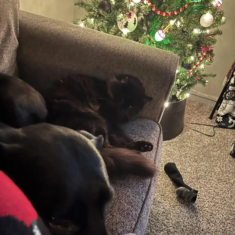 Storm  Home To thumbnail 3