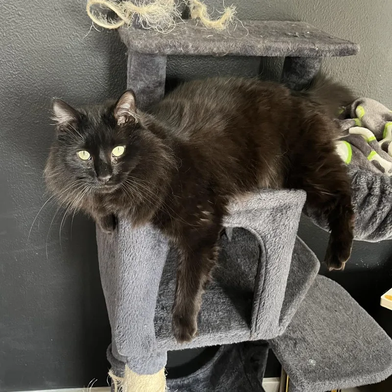 Storm  Home To thumbnail 4