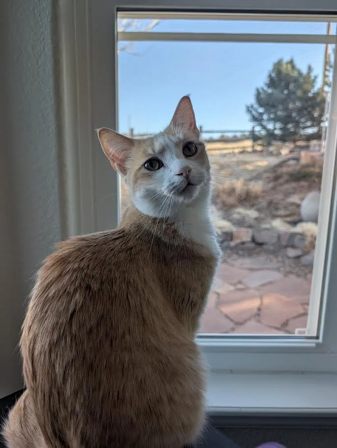 Zoe Morleysteve thumbnail 3