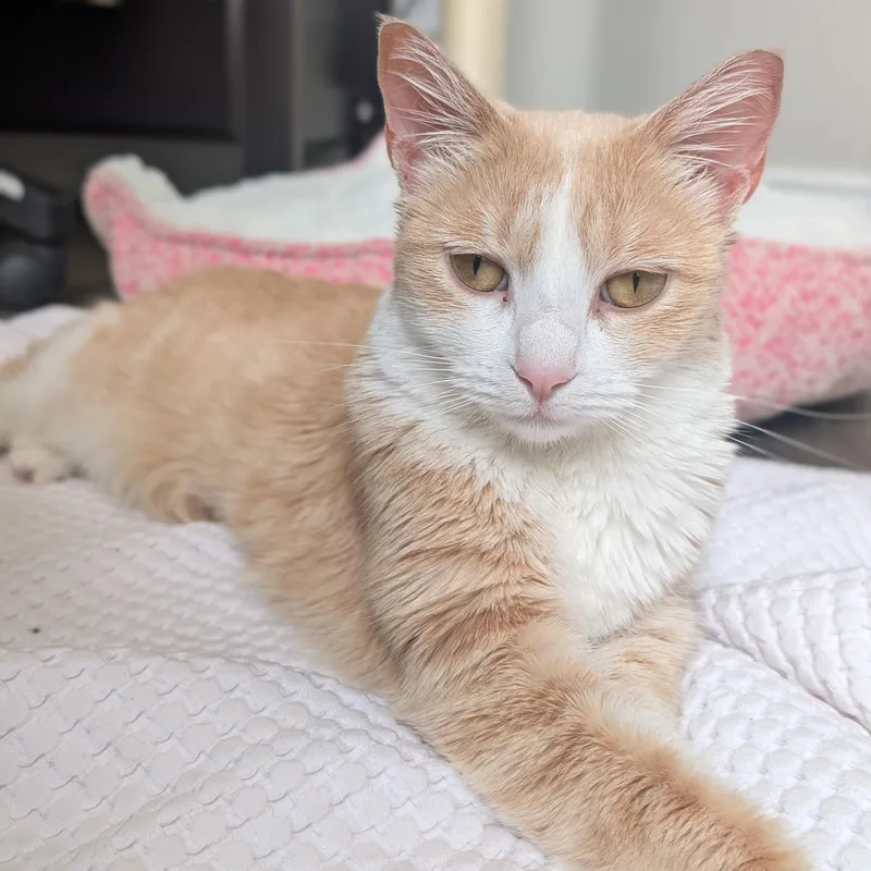 Zoe Morleysteve thumbnail 6