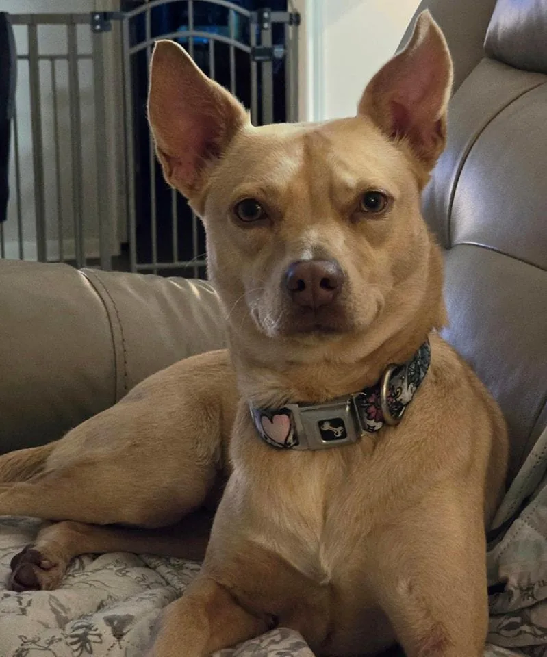 Lizotte Mvt thumbnail 5