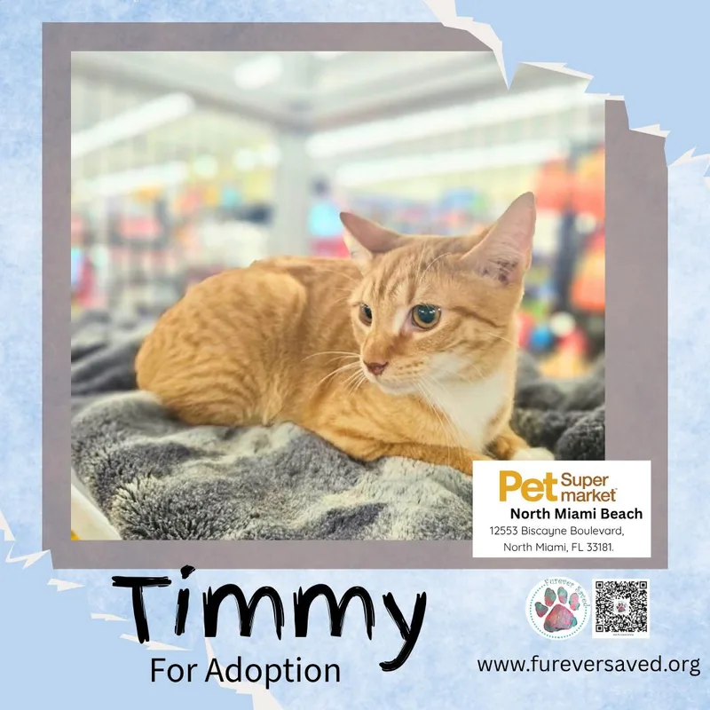 Timmy thumbnail 3