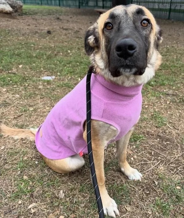 Brooklyn thumbnail 2