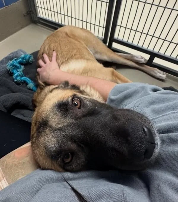 Brooklyn thumbnail 3