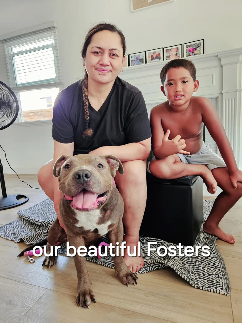 Tinytomboy thumbnail 2