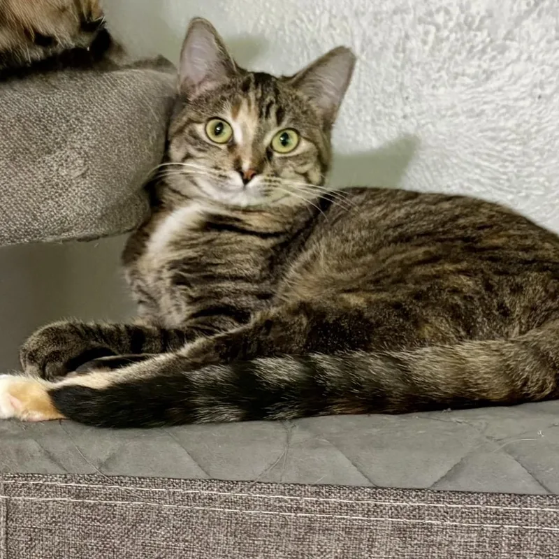 Mimi aka "Hoot" thumbnail 2