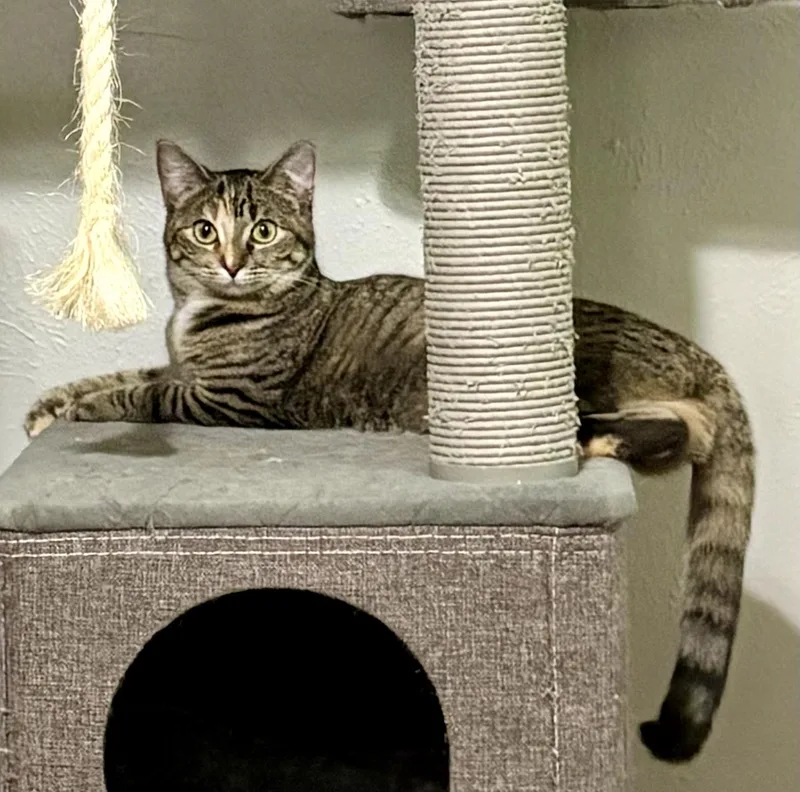 Mimi aka "Hoot" thumbnail 3