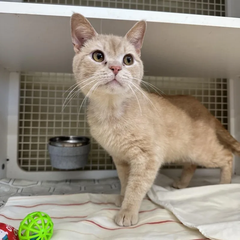 Maverick thumbnail 5