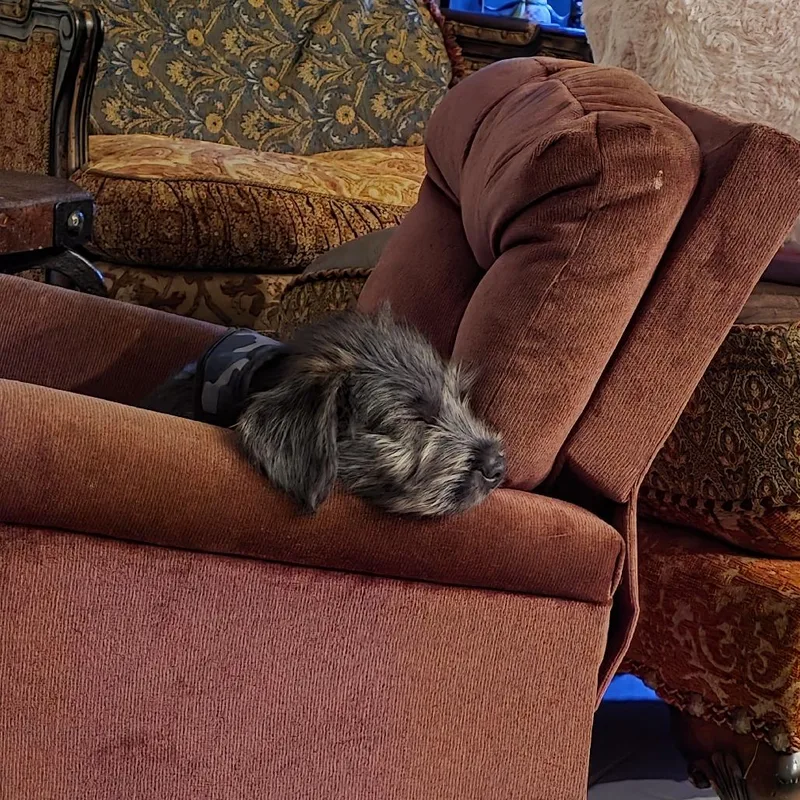 Johnny Cash thumbnail 3