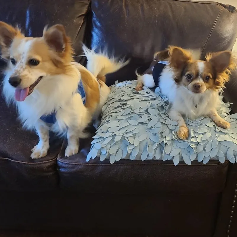 Cute Cheerio thumbnail 2