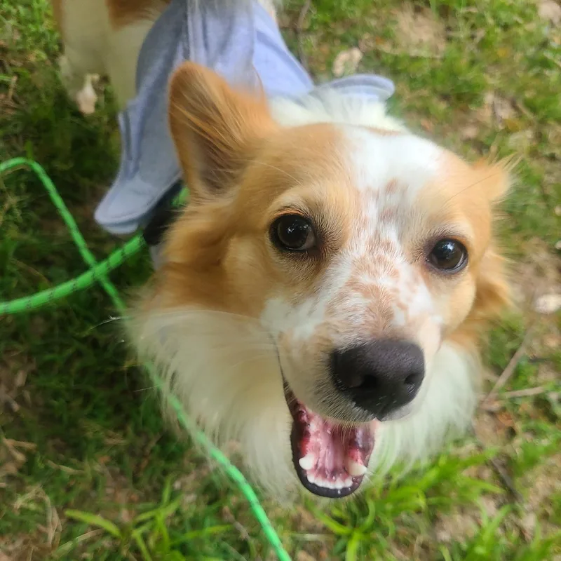 Cute Cheerio thumbnail 3