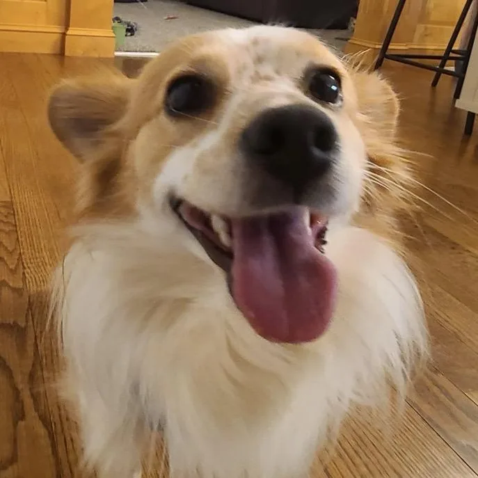 Cute Cheerio thumbnail 4
