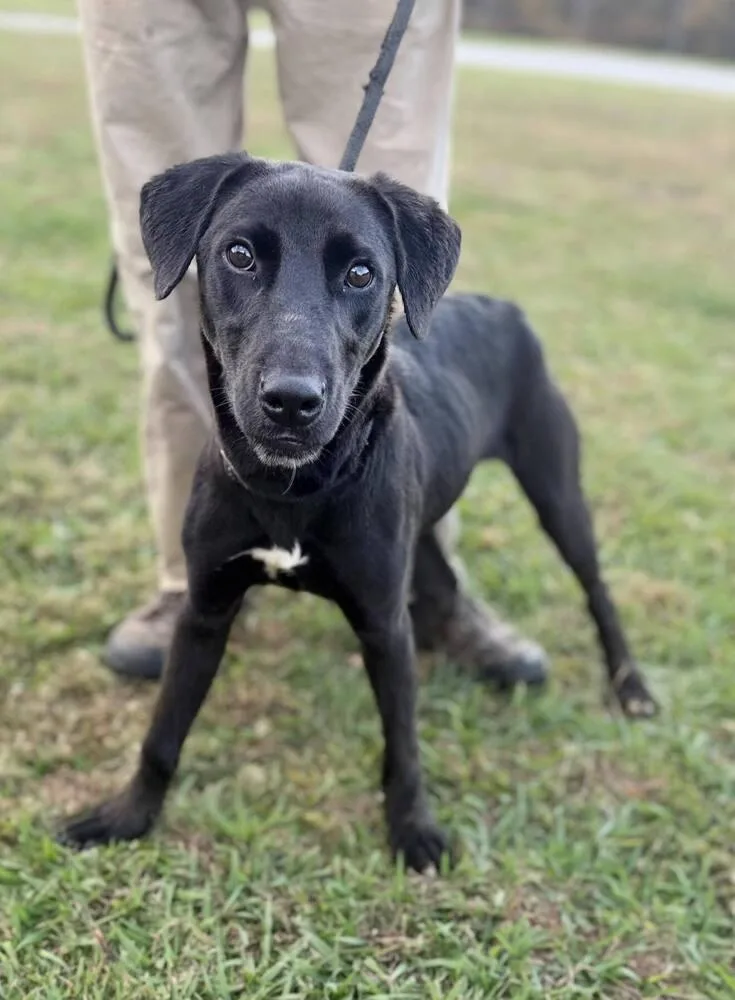 Skylar D thumbnail 2