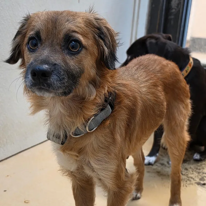 Olin  Chino Hills thumbnail 2