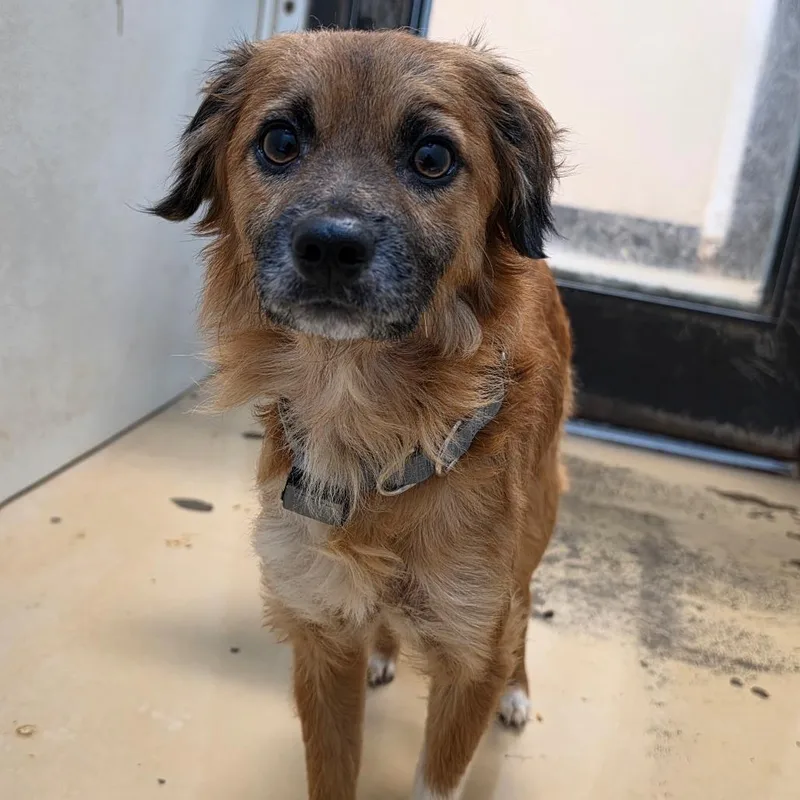 Olin  Chino Hills thumbnail 3